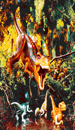 Génération de l'image ...