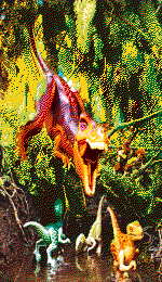 Génération de l'image ...